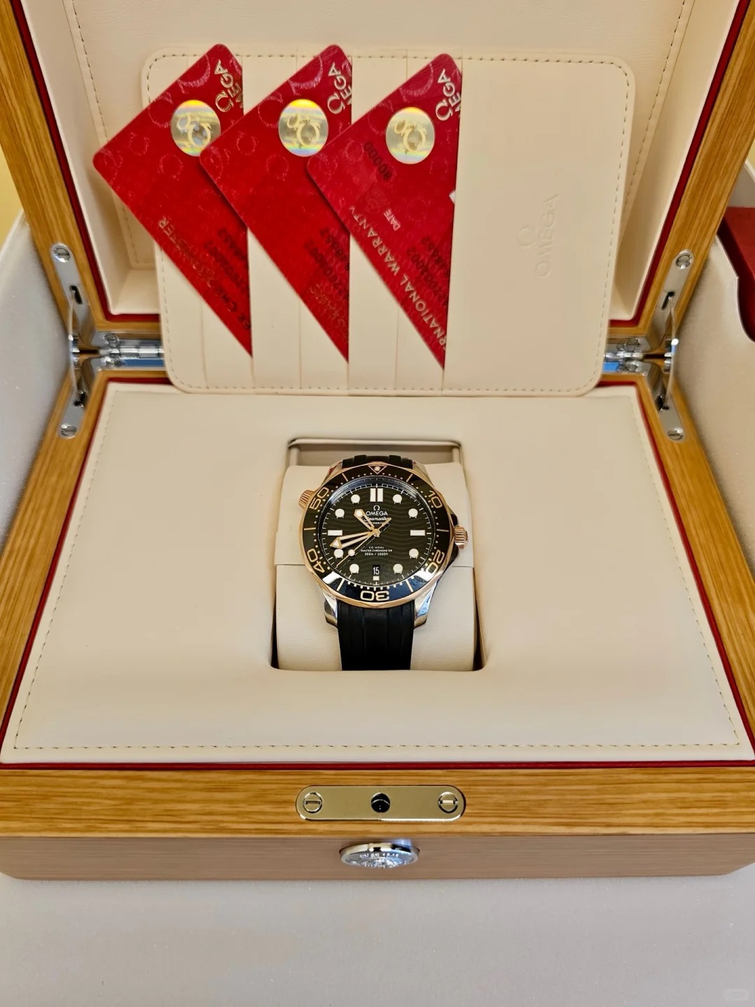 Omega Seamaster 210.22.42.20.01.002 watch