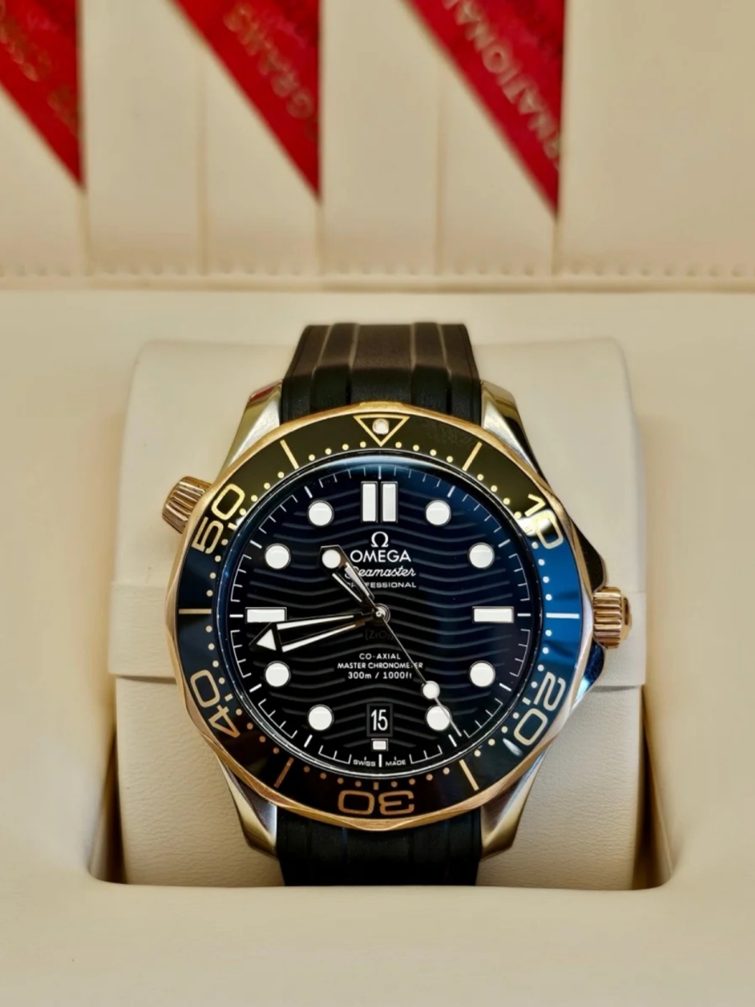 Omega Seamaster 210.22.42.20.01.002 watch