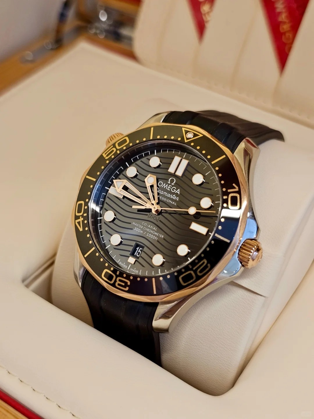 Omega Seamaster 210.22.42.20.01.002 watch