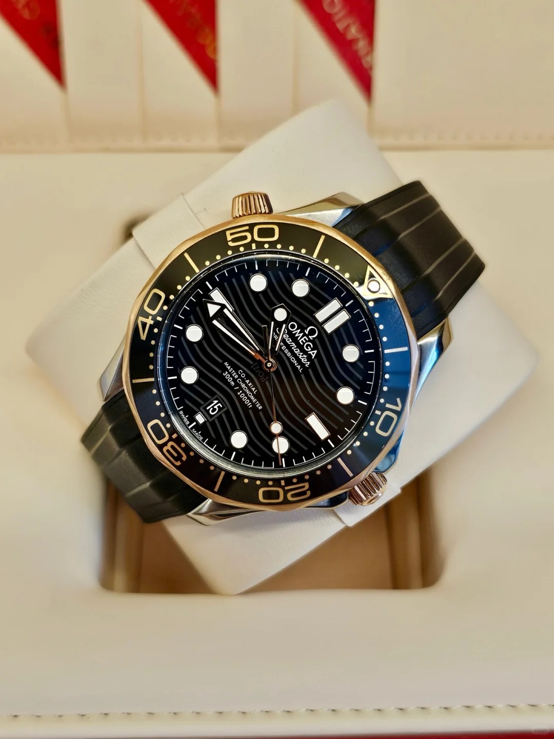 Omega Seamaster 210.22.42.20.01.002 watch