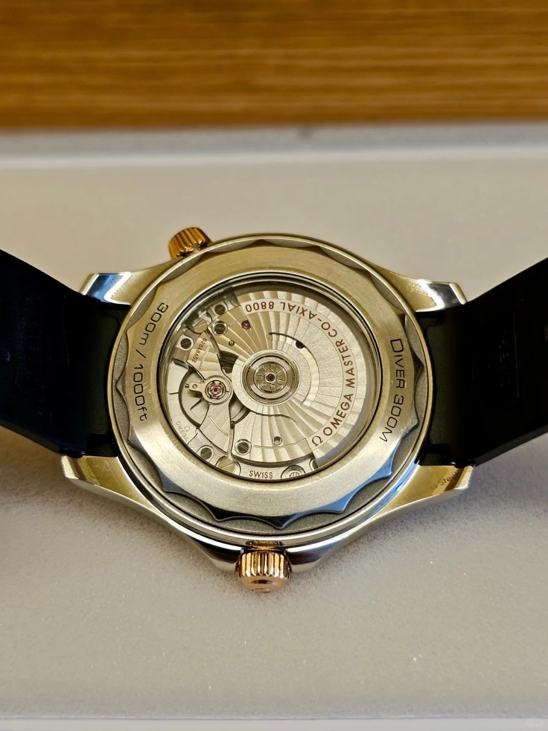 Omega Seamaster 210.22.42.20.01.002 watch