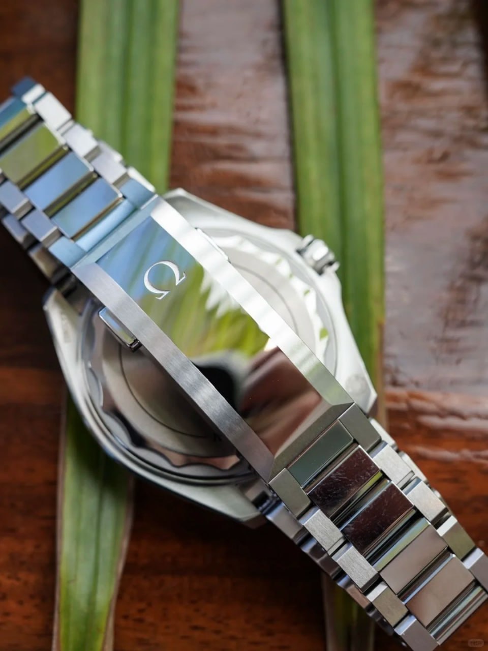 Omega Seamaster Series 217.30.42.21.01.003 Watch