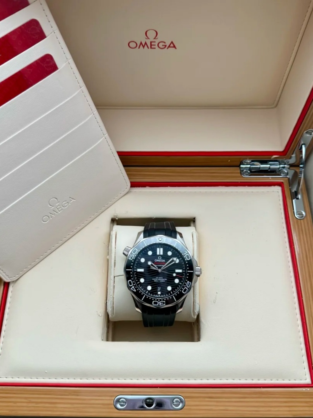 Omega Seamaster Series 210.30.42.20.01.001 Watch