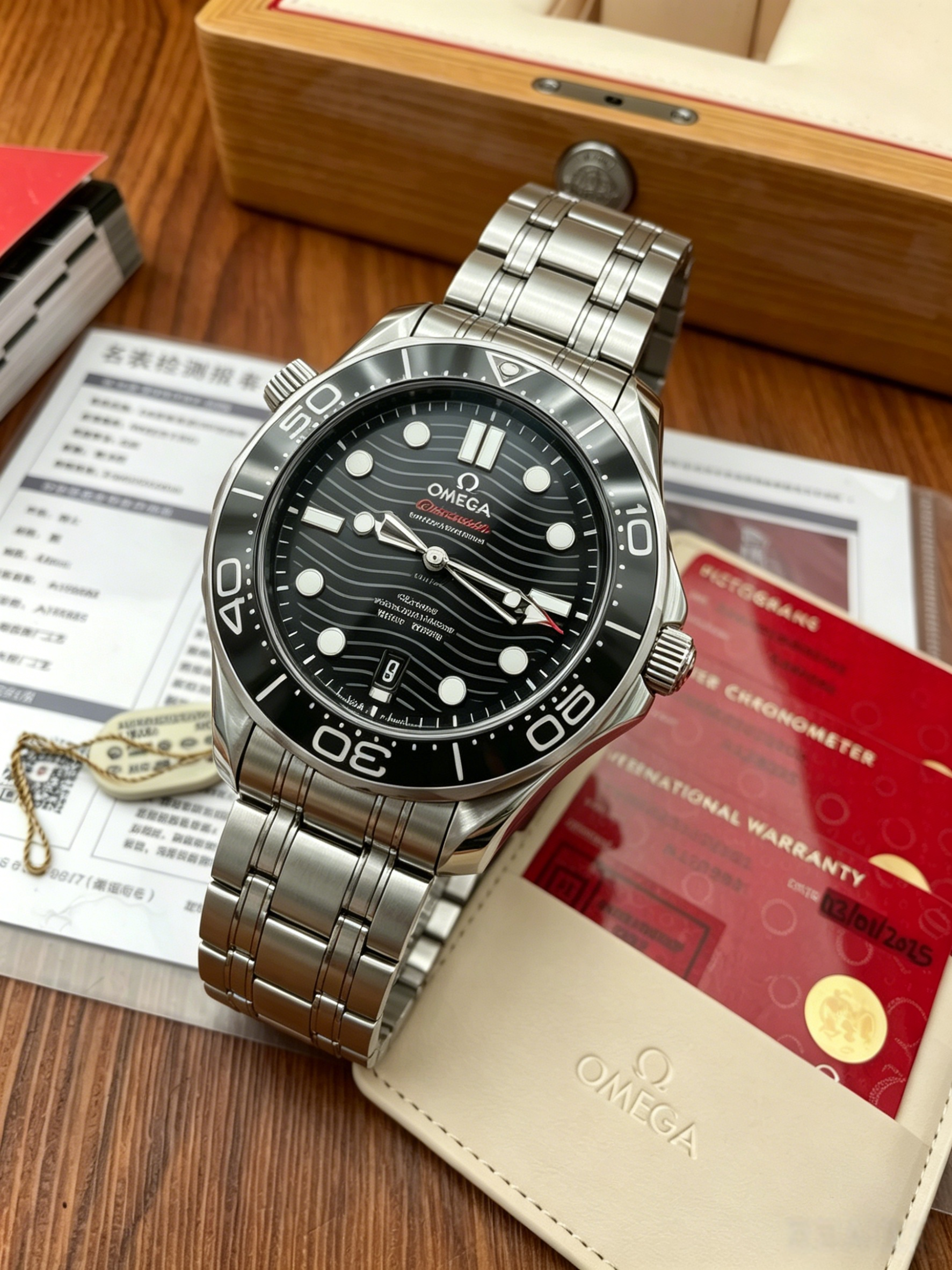 Omega Seamaster Series 210.30.42.20.01.001 Watch