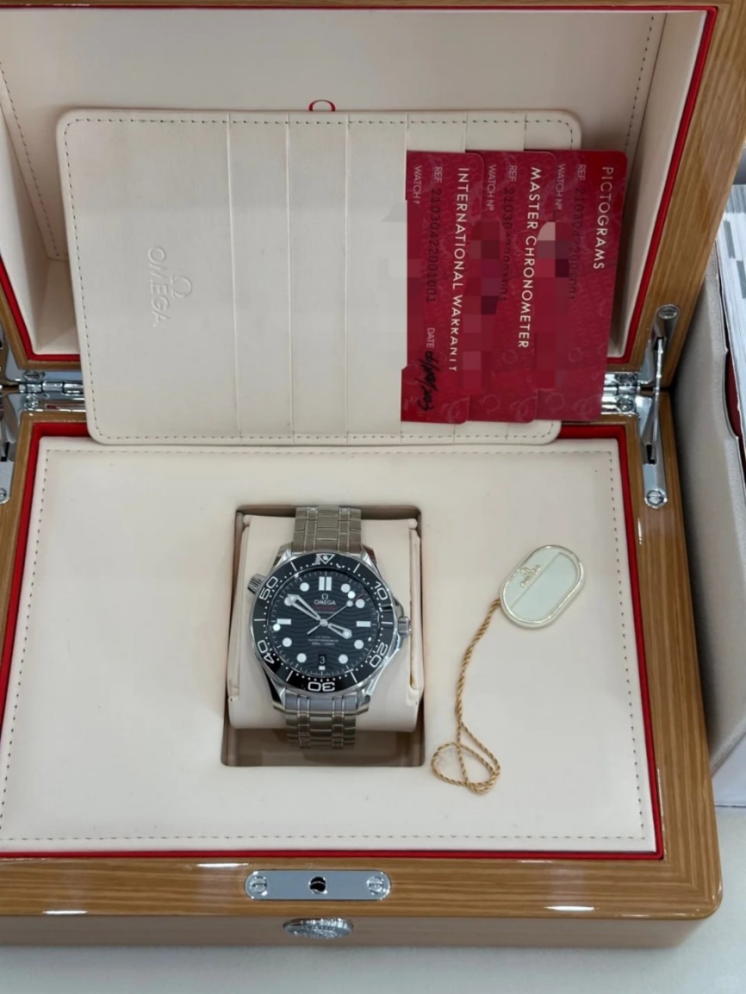 Omega Seamaster Series 210.30.42.20.01.001 Watch